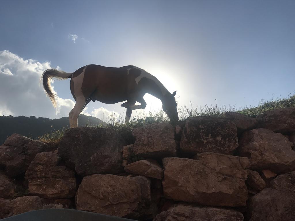 La Fattoria Di Morgana Villa Opi Eksteriør bilde